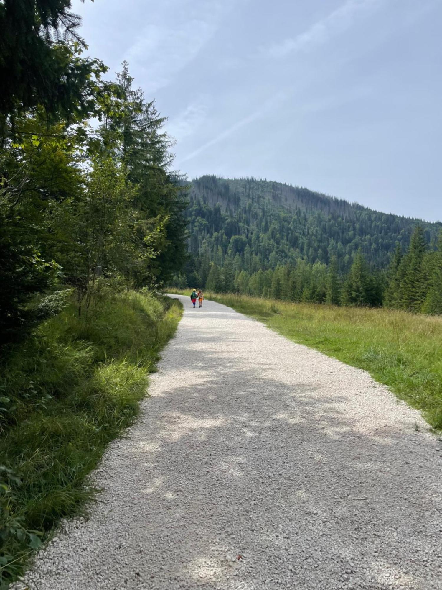 Z Giewontem W Tle Apart&Room Zakopane Zewnętrze zdjęcie